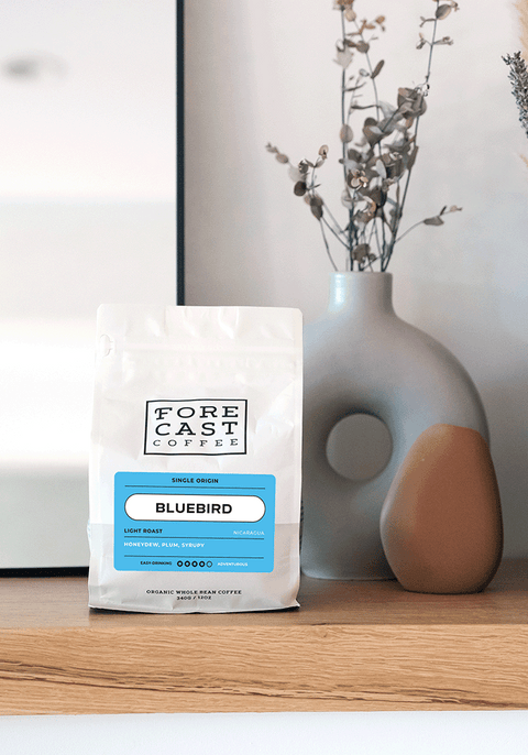 Bluebird Light