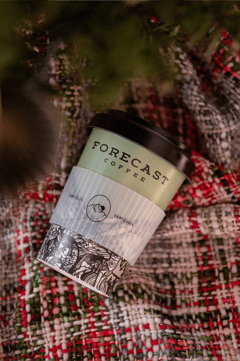 Bamboo To-Go Cup \\ 16oz