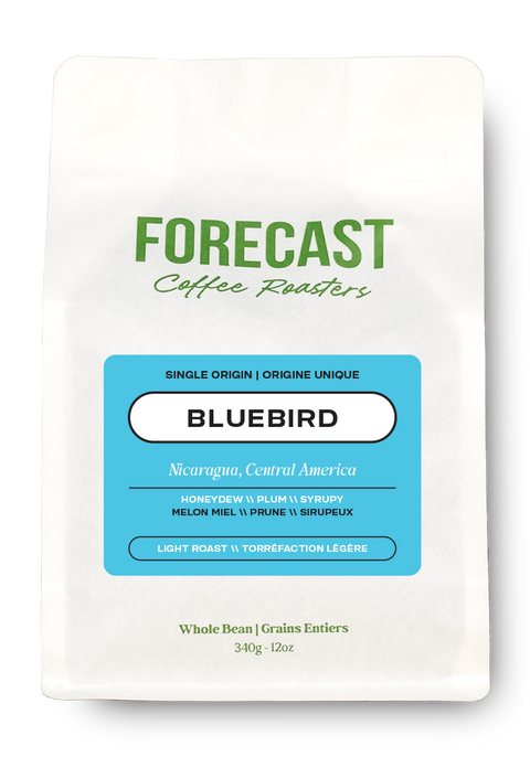 Bluebird Light