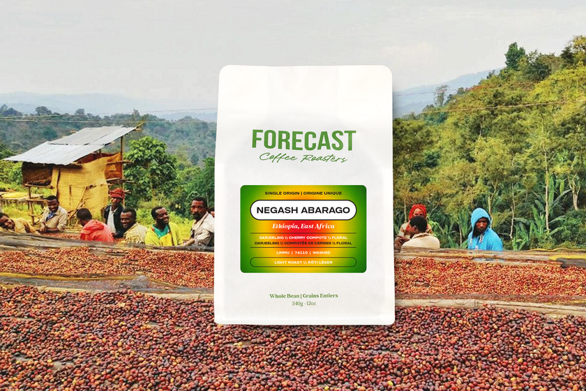 Forecast Coffee, photo 7