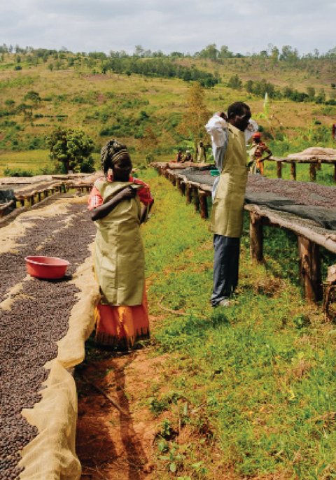 Ethiopia Negash Abarago