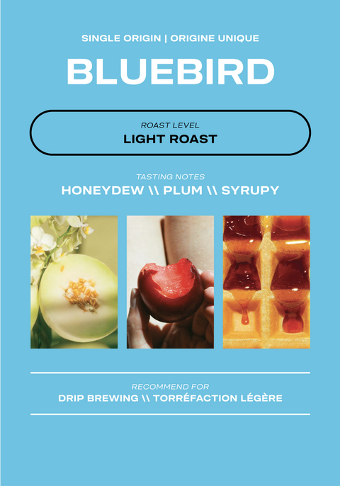 Bluebird